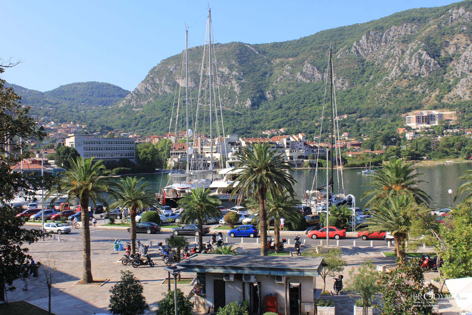 Kotor